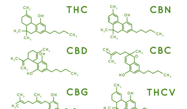 What are the possible drugs interactions with cannabis?