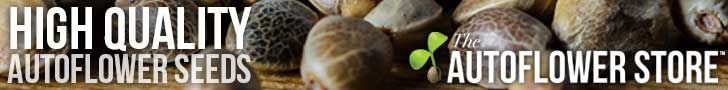 autoflower_web_banner_static_728x90